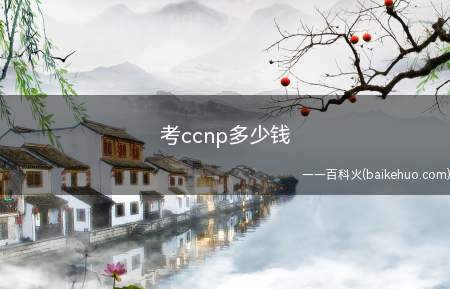 考ccnp多少钱(考ccnp需要花多少钱)