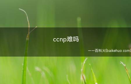ccnp难吗(ccnp的考试很难吗)