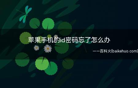 苹果手机的id密码忘了怎么办(iPhone 11系统)