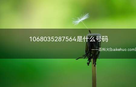 1068035287564是什么号码