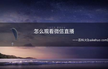 怎么观看微信直播(观看微信直播的方法:iPhone 11为例)