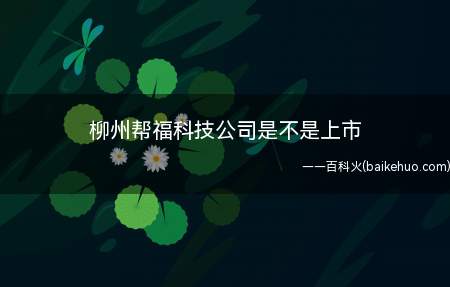 柳州帮福科技公司是不是上市