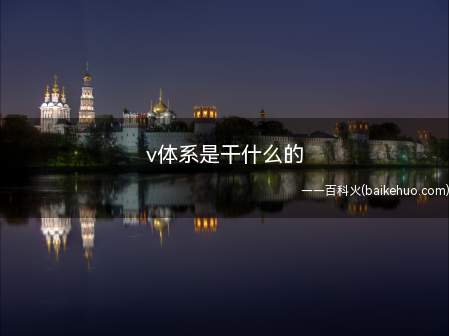 v体系是干什么的(v体系就是指“区块链技术”)