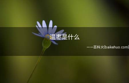 温枣是什么(温枣是什么不知道的小伙伴来看看小编今天的分享吧!)