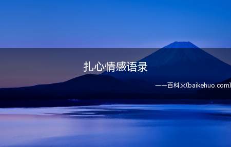 扎心情感语录(扎心情感语录是怎样的呢)
