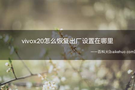 vivox20怎么恢复出厂设置在哪里