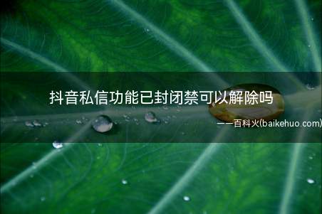 抖音私信功能已封闭禁可以解除吗(演示机型:Iphone 12)
