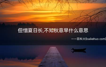 但惜夏日长,不知秋意早什么意思