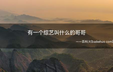 有一个综艺叫什么的哥哥