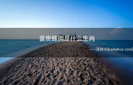 富贵蜂拥是什么生肖
