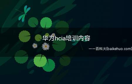 华为hcia培训内容(华为hcia培训内容有哪些)