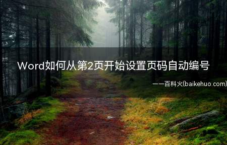 Word如何从第2页开始设置页码自动编号