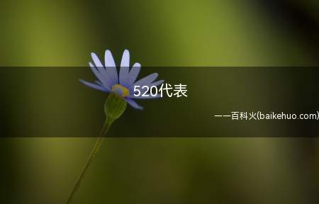 520代表(520就像1314代表一生一世这样的)