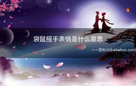 袋鼠摇手表情是什么意思