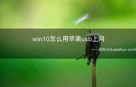 win10怎么用苹果usb上网(演示机型:Iphone 12)