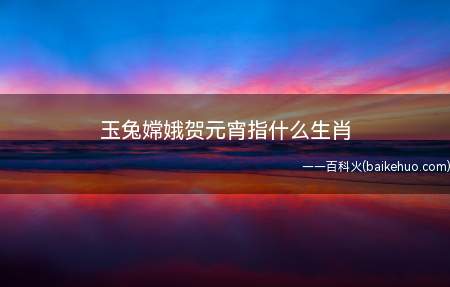 玉兔嫦娥贺元宵指什么生肖