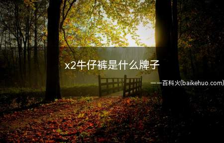x2牛仔裤是什么牌子