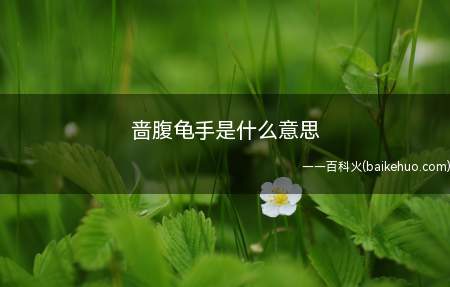 啬腹龟手是什么意思
