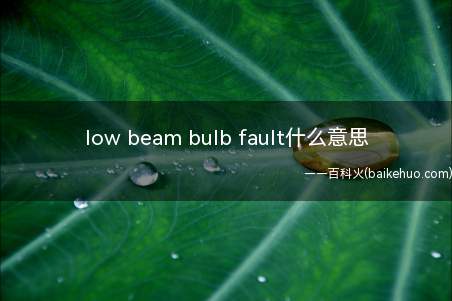 low beam bulb fault什么意思