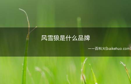 风雪狼是什么品牌(风雪狼是什么品牌 )