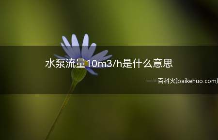 水泵流量10m3/h是什么意思