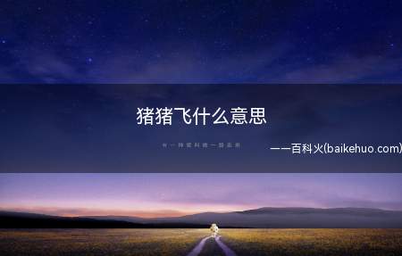 猪猪飞什么意思(《天天酷跑》猪猪飞什么意思)