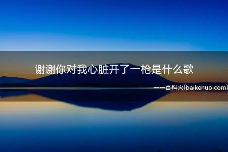 谢谢你对我心脏开了一枪是什么歌
