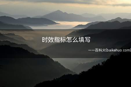时效指标怎么填写(时效指标怎么填写呢,一起来了解一下吧)