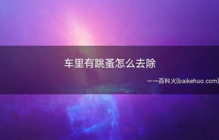 车里有跳蚤怎么去除(车里有跳蚤怎么去除的具体操作步骤)