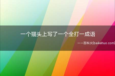 一个猫头上写了一个全打一成语
