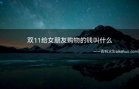双11给女朋友购物的钱叫什么
