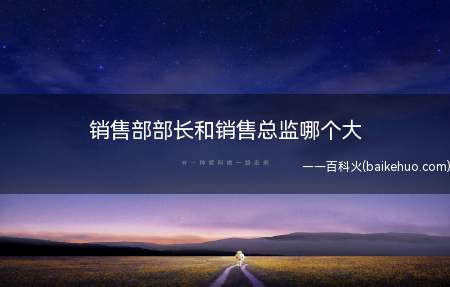 销售部部长和销售总监哪个大