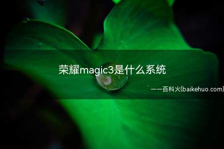 荣耀magic3是什么系统（Magic UI 5）