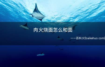 肉火烧面怎么和面(肉火烧面怎么和面的具体操作步骤)