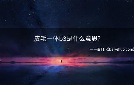 皮毛一体b3是什么意思