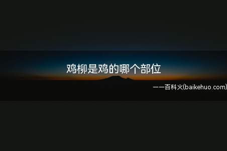 鸡柳是鸡的哪个部位