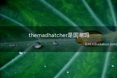 themadhatcher是国潮吗