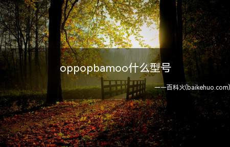 oppopbamoo什么型号(OPPO手机使用小技巧)