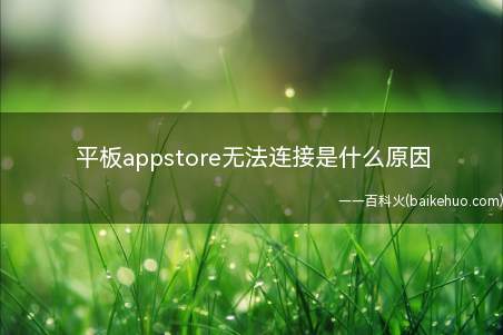 平板appstore无法连接是什么原因(App Store模式的意义)
