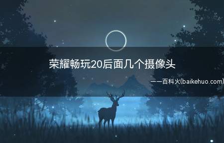 荣耀畅玩20后面几个摄像头(Magic 4)