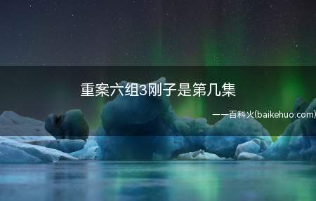 重案六组3刚子是第几集