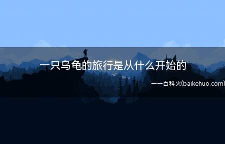 一只乌龟的旅行是从什么开始的