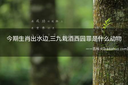 今期生肖出水边,三九栽酒西园罪是什么动物