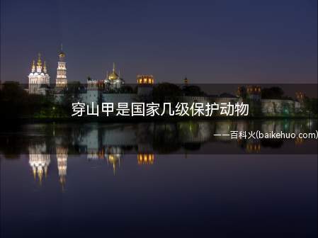 穿山甲是国家几级保护动物