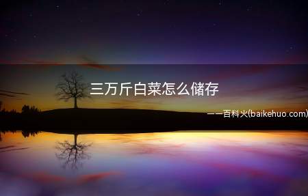 三万斤白菜怎么储存(三万斤白菜怎么储存我们一起来看看吧!)