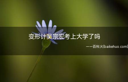 变形计吴宗宏考上大学了吗