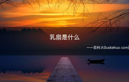 乳扇的吃法很多,一般可以生吃、油炸、生煎,还能搭配云腿制作各