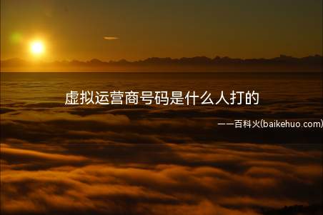 虚拟运营商号码是什么人打的