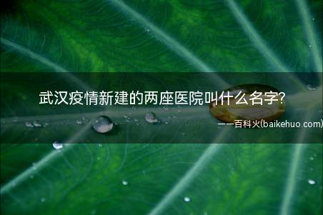 武汉疫情新建的两座医院叫什么名字