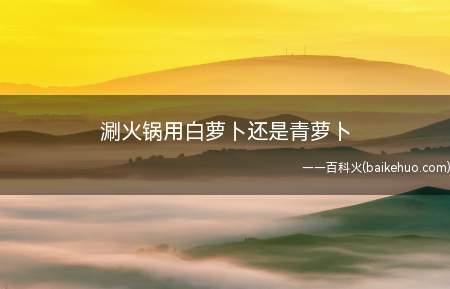 涮火锅用白萝卜还是青萝卜